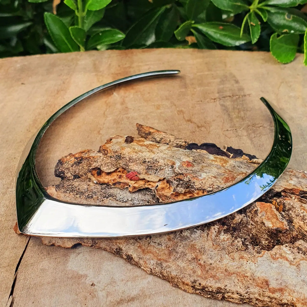 Silver Choker Necklace